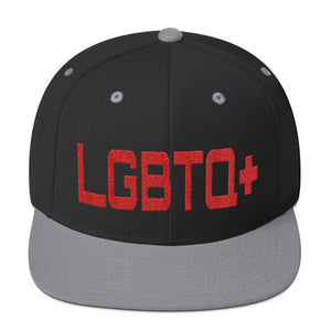 LGBTQ+ - Embroidered Snapback High Profile Caps