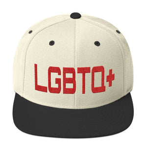 LGBTQ+ - Embroidered Snapback High Profile Caps